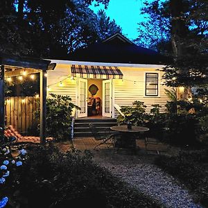 Cottage Garden View